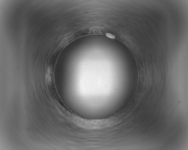 X0000081390038200701182243