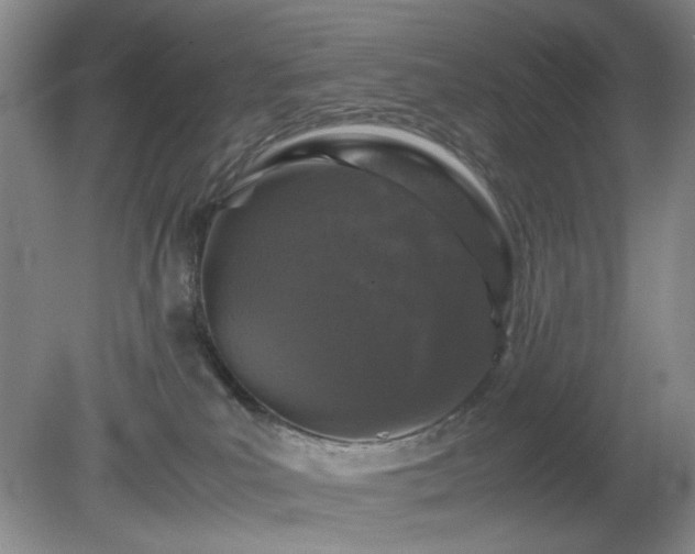 X0000081390039200701182243