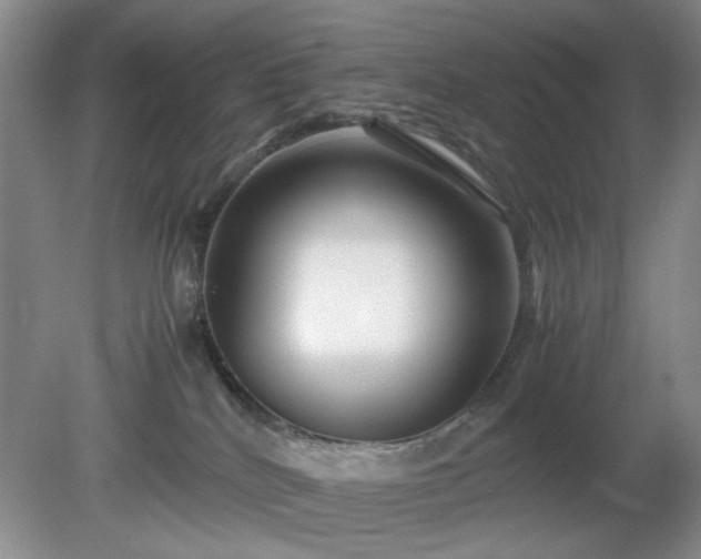 X0000081390040200701182243