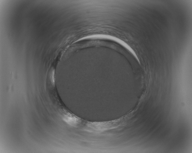 X0000081390041200701182243