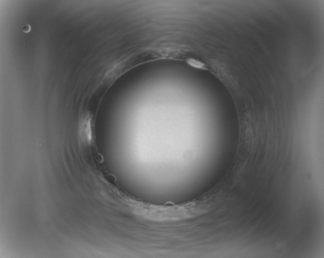 X0000081390042200701182243