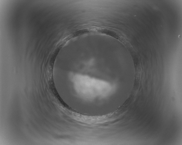 X0000081390043200701182243