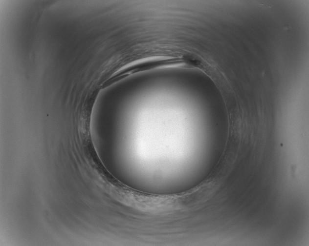 X0000081390044200701182243