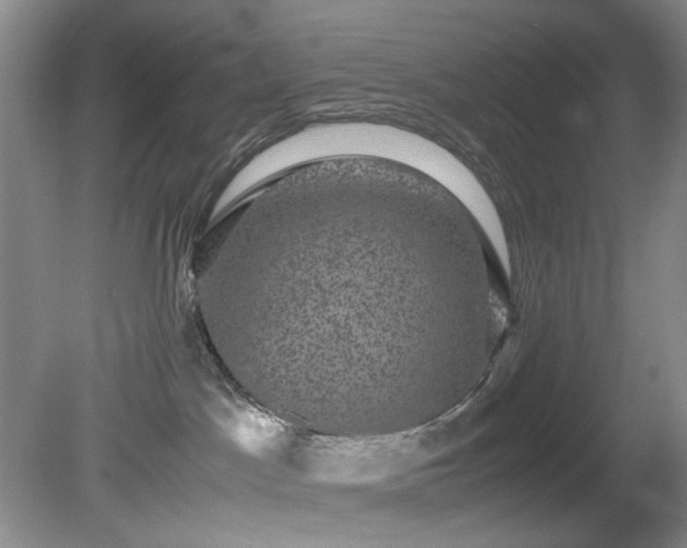 X0000081390045200701182243