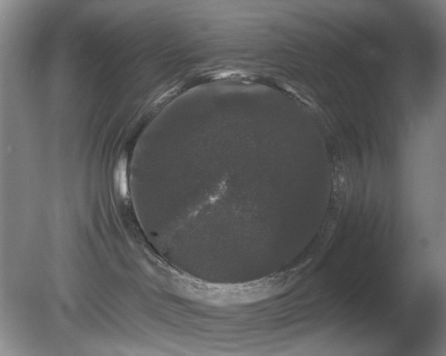 X0000081390046200701182243