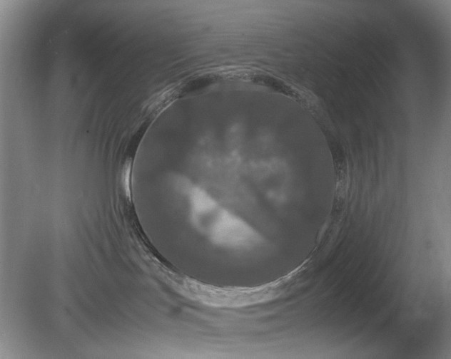 X0000081390047200701182243