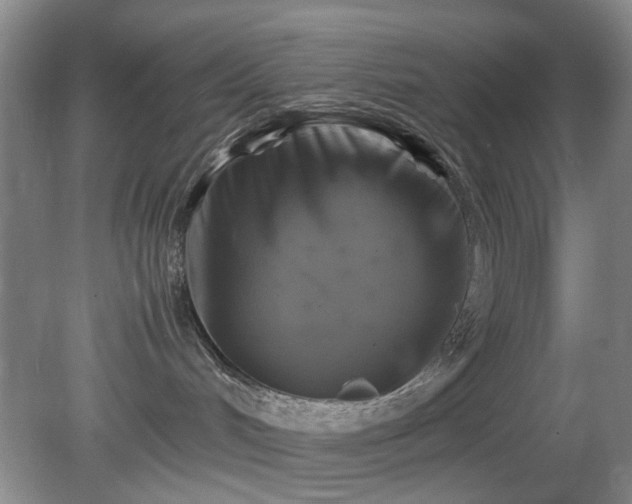 X0000081390048200701182243