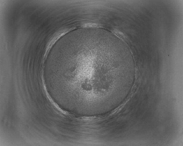 X0000081390049200701182242