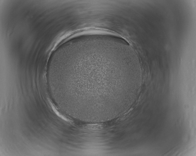 X0000081390050200701182243