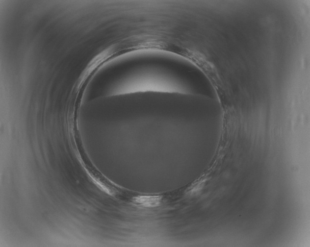 X0000081390051200701182243