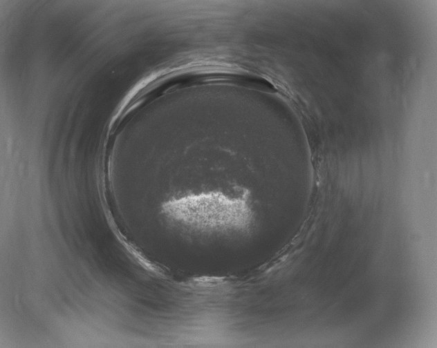 X0000081390052200701182243