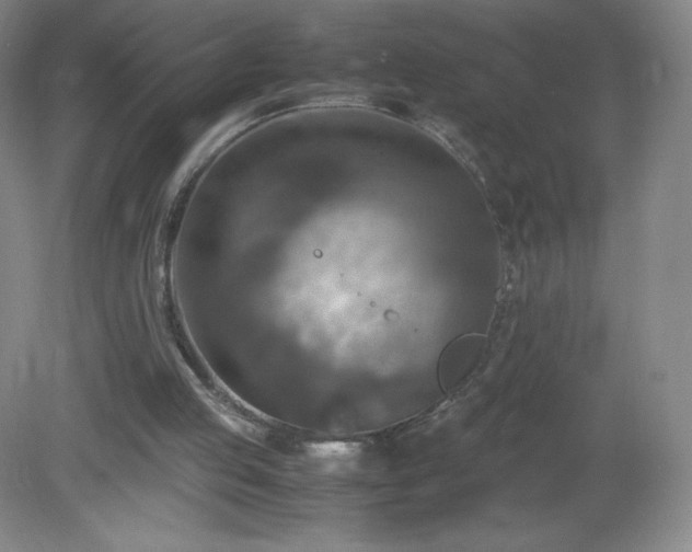 X0000081390053200701182243