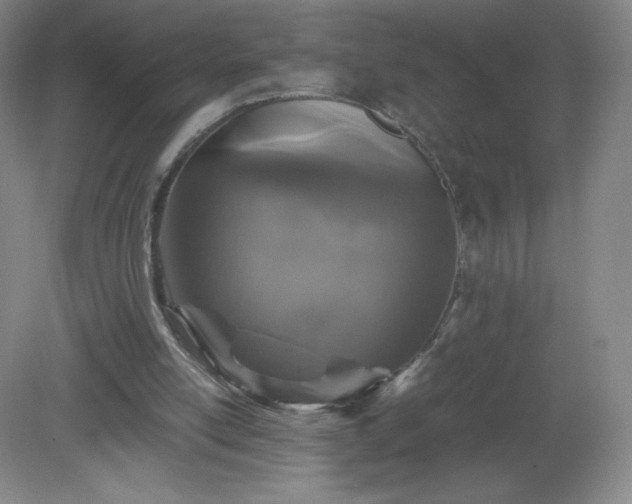 X0000081390054200701182243