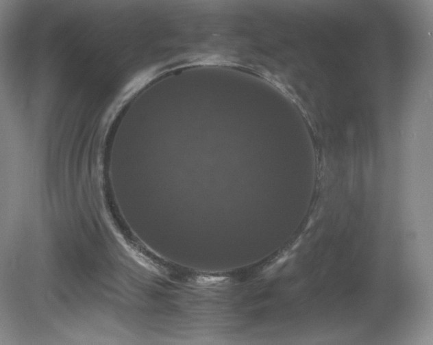 X0000081390055200701182243