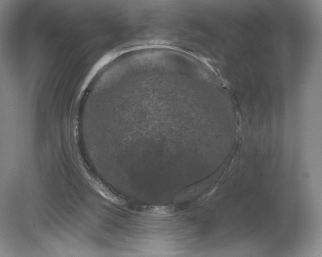 X0000081390056200701182243