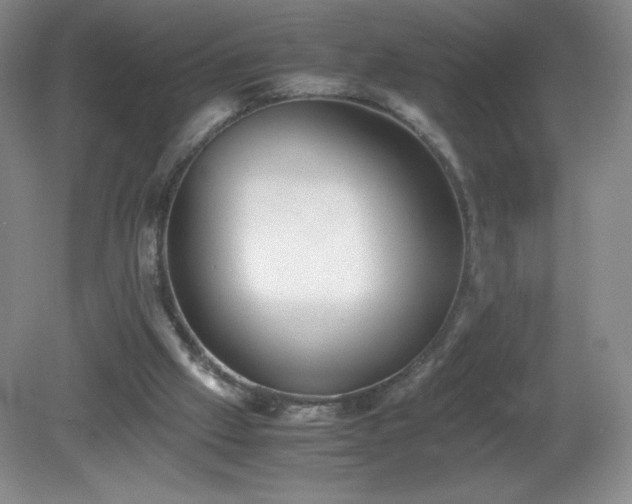 X0000081390057200701182243