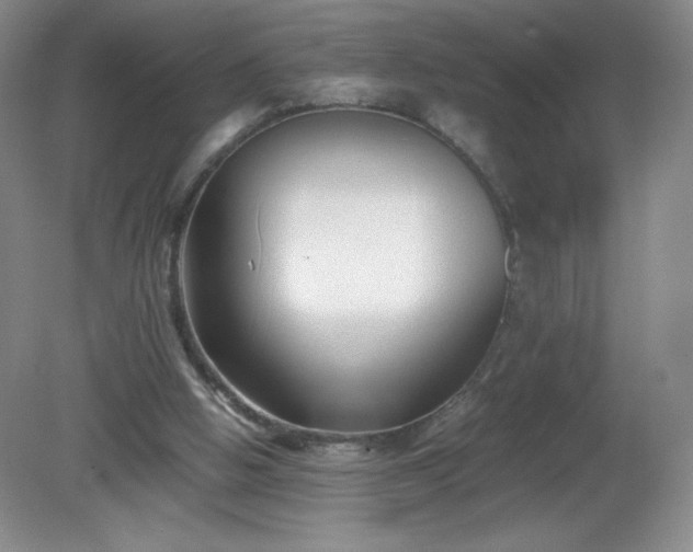 X0000081390058200701182243