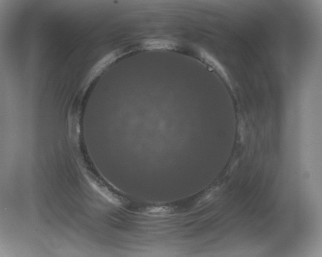 X0000081390059200701182243