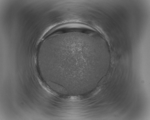 X0000081390060200701182243