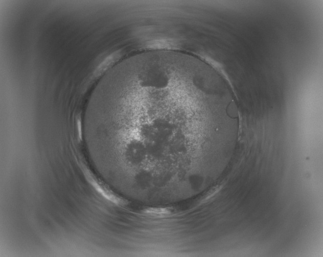 X0000081390061200701182243