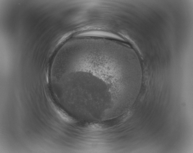 X0000081390062200701182243