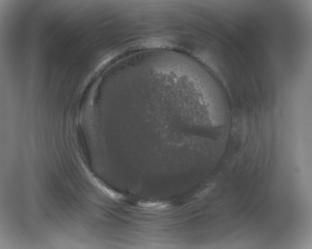 X0000081390063200701182243