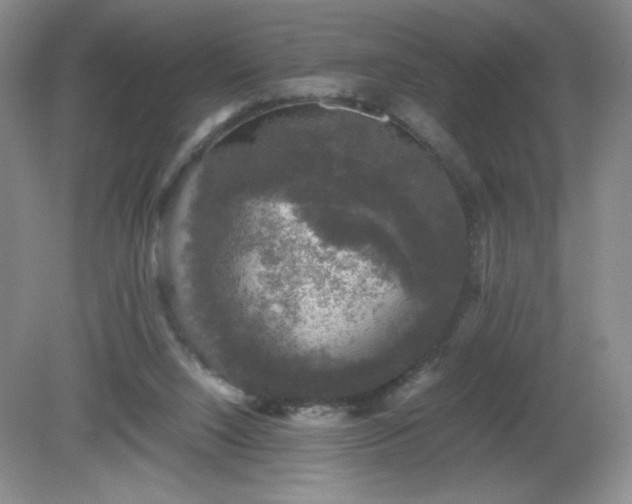 X0000081390064200701182243