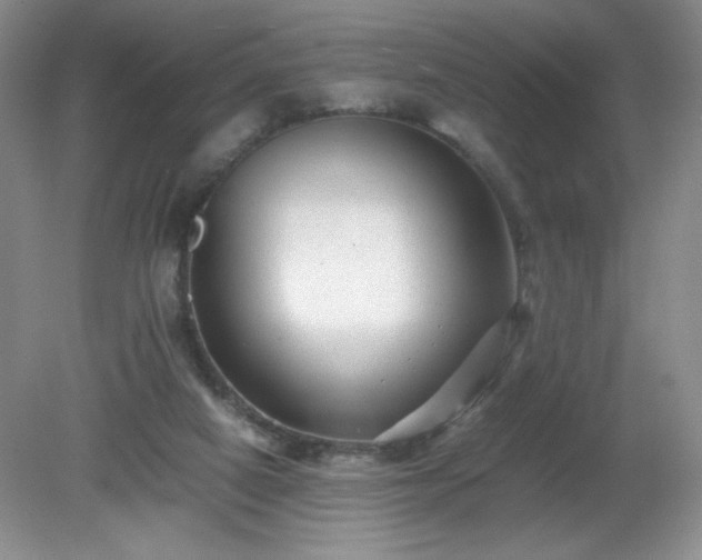 X0000081390066200701182243