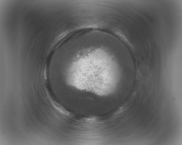 X0000081390068200701182243