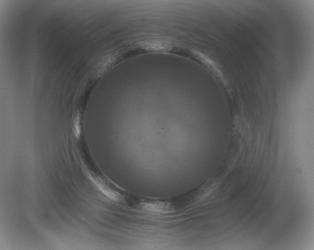 X0000081390069200701182243