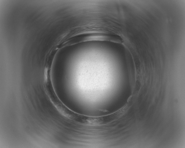 X0000081390070200701182243