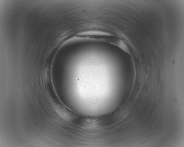 X0000081390071200701182243