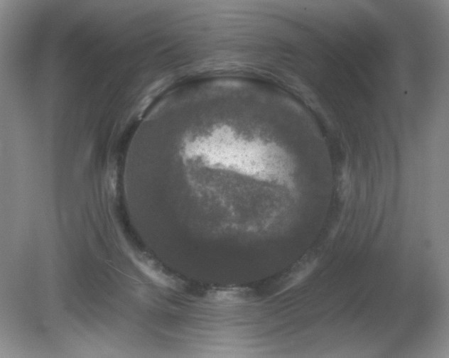 X0000081390072200701182243