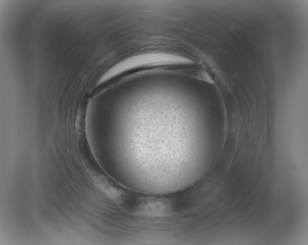 X0000081390073200701182243