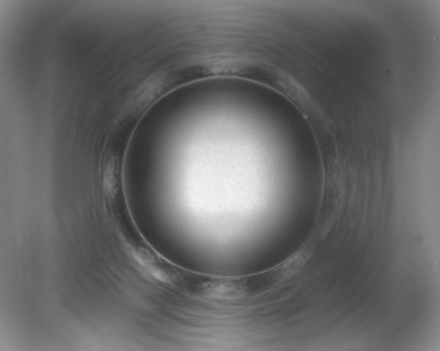 X0000081390074200701182243