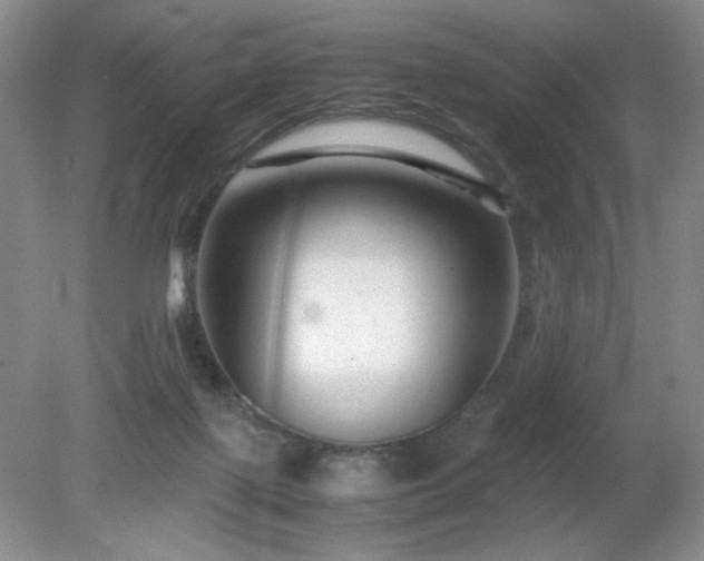 X0000081390075200701182243