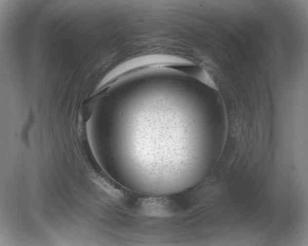 X0000081390077200701182243