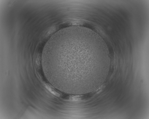 X0000081390078200701182243