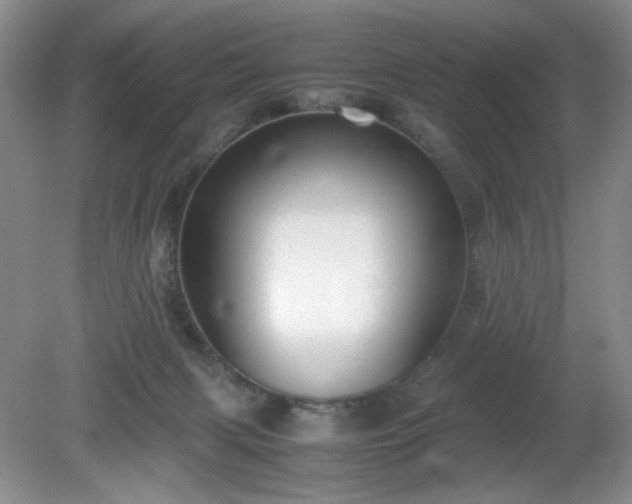 X0000081390079200701182243