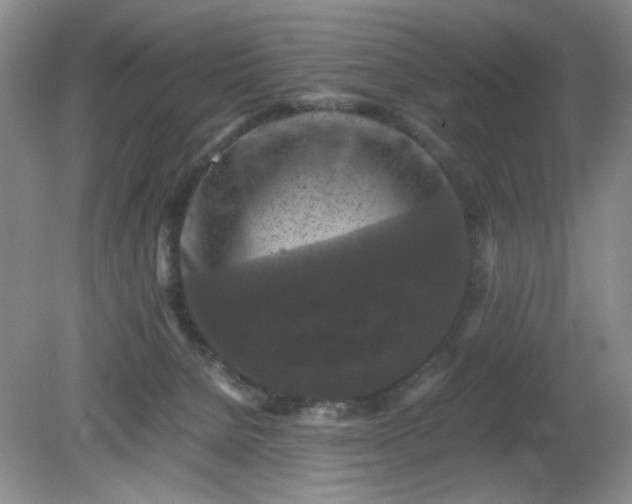 X0000081390080200701182243