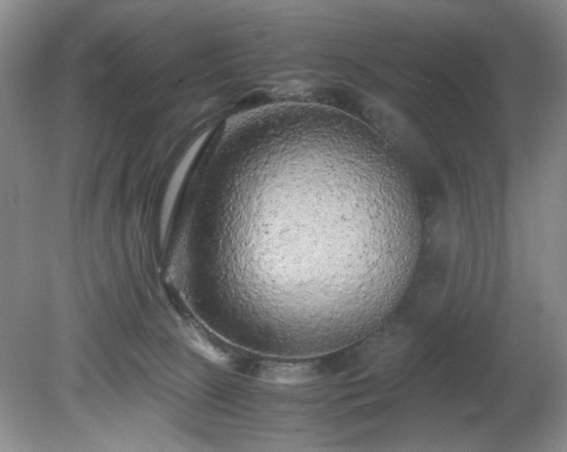 X0000081390081200701182243