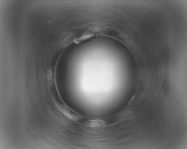 X0000081390087200701182243