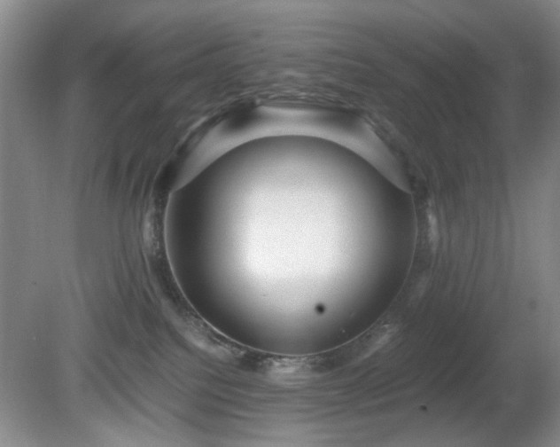 X0000081390088200701182243