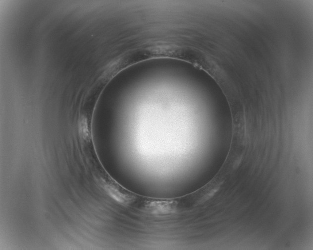 X0000081390089200701182243