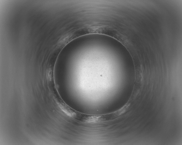 X0000081390090200701182243