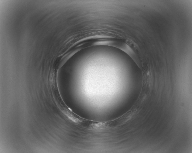 X0000081390092200701182243