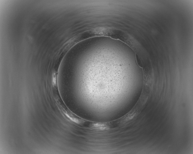 X0000081390095200701182243