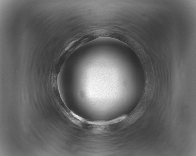 X0000081390096200701182243