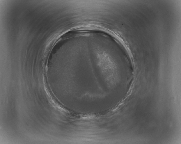 X0000081390097200701182242