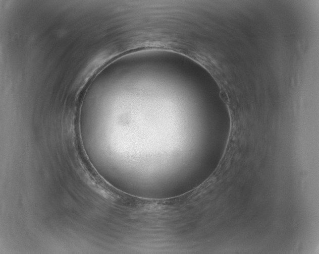 X0000081390098200701182242